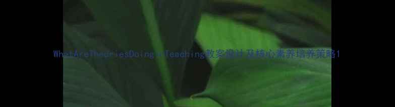 图片 WhatAreTheoriesDoinginTeaching教案设计及核心素养培养策略1
