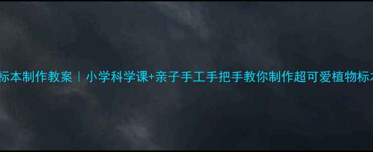 图片 ✨植物标本制作教案｜小学科学课+亲子手工手把手教你制作超可爱植物标本！🌿1