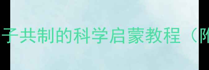 图片 不倒翁手工课教案：亲子共制的科学启蒙教程（附材料清单+步骤详解）