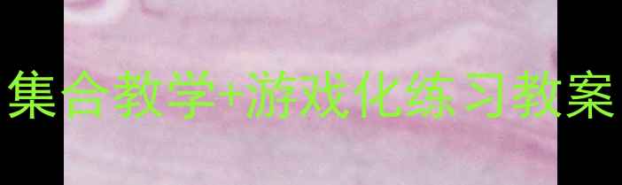 图片 中班数学活动设计：集合教学+游戏化练习教案（附完整教学方案）