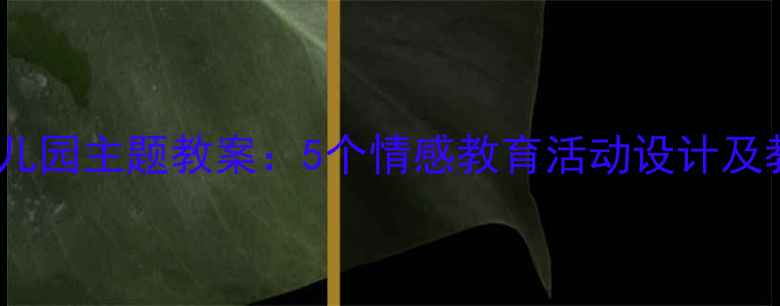 图片 中班爱幼儿园主题教案：5个情感教育活动设计及教学方案1