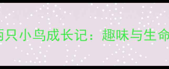 图片 中班科学教案两只小鸟成长记：趣味与生命教育实践指南1
