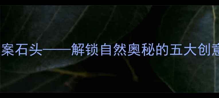 图片 中班科学教案石头——解锁自然奥秘的五大创意活动设计1