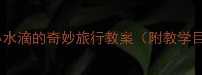 图片 中班科学活动：小水滴的奇妙旅行教案（附教学目标与操作指南）2