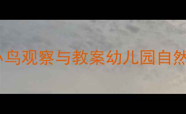 图片 中班科学活动：小鸟观察与教案幼儿园自然教育主题课设计1