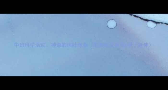 图片 中班科学活动：神奇的树叶教案（附教学资源包+亲子延伸）