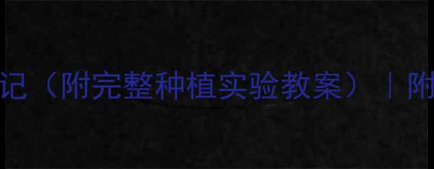 图片 中班科学活动：芹菜观察日记（附完整种植实验教案）｜附观察记录表+科学探究步骤2