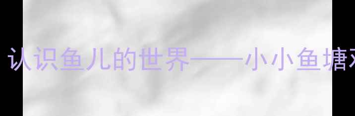 图片 中班科学活动：认识鱼儿的世界——小小鱼塘观察家教学方案