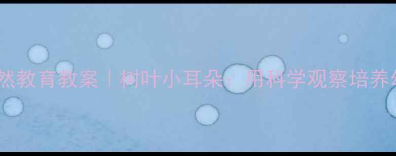 图片 中班自然教育教案｜树叶小耳朵：用科学观察培养幼儿力1