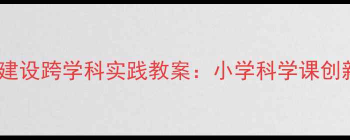 图片 乐高+城市建设跨学科实践教案：小学科学课创新教学指南