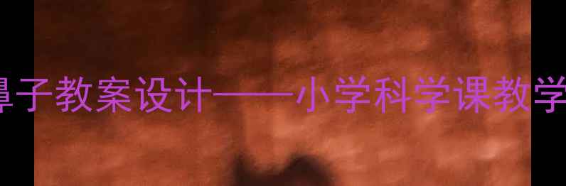 图片 人体器官探秘之鼻子教案设计——小学科学课教学案例与实操指南1