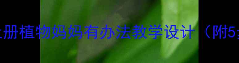 图片 人教版小学语文三年级上册植物妈妈有办法教学设计（附5步教学策略+教学课件）1