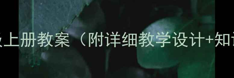 图片 人教版美术八年级上册教案（附详细教学设计+知识点+教学案例）2