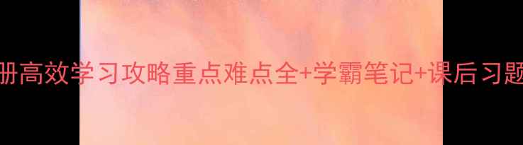 图片 人教版语文九年级下册高效学习攻略重点难点全+学霸笔记+课后习题答案（附电子资源）