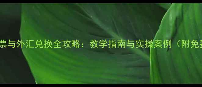 图片 信用卡支票与外汇兑换全攻略：教学指南与实操案例（附免费模板）1