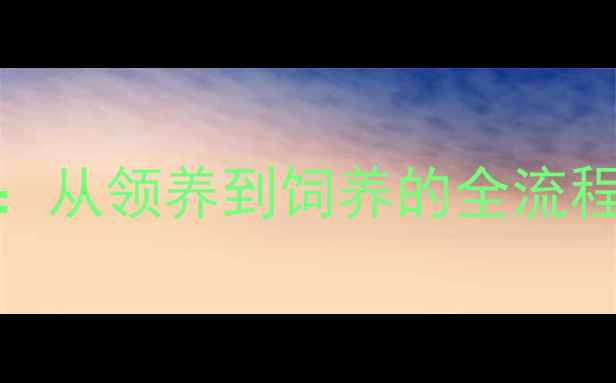 图片 养宠物注意事项教案：从领养到饲养的全流程指南（附实操清单）