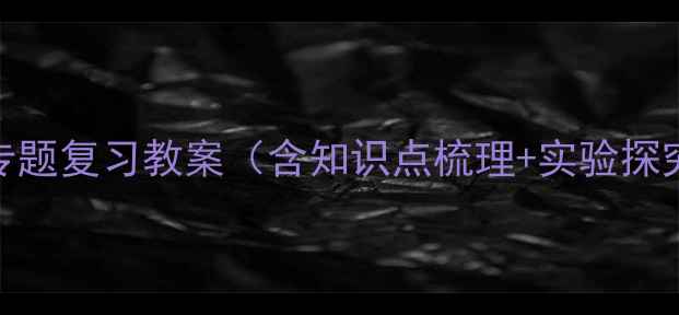 图片 初三物理电荷专题复习教案（含知识点梳理+实验探究+中考真题）1