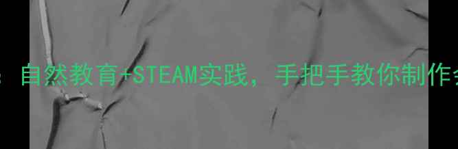 图片 制作叶脉书签教案：自然教育+STEAM实践，手把手教你制作会呼吸的创意书签1