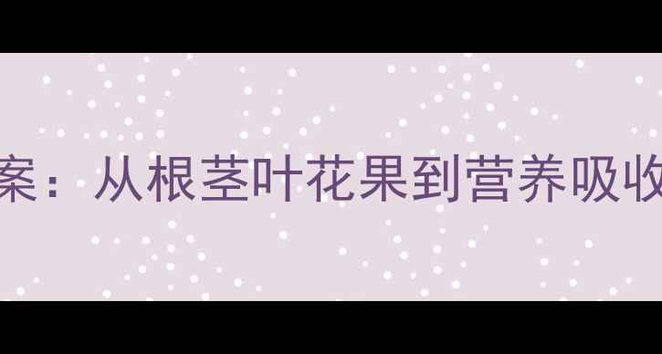 图片 吃蔬菜的哪部分教案：从根茎叶花果到营养吸收的全流程教学方案