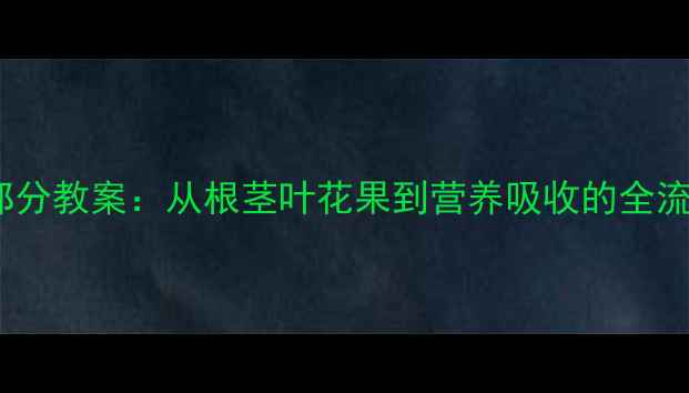图片 吃蔬菜的哪部分教案：从根茎叶花果到营养吸收的全流程教学方案1
