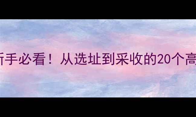 图片 大棚蔬菜种植全攻略｜新手必看！从选址到采收的20个高效技巧（附成本清单）1