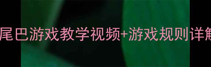 图片 大班体育教案：抓尾巴游戏教学视频+游戏规则详解（附动作图解）1