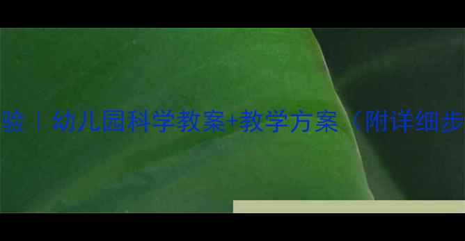 图片 大班水的溶解实验｜幼儿园科学教案+教学方案（附详细步骤+材料清单）2