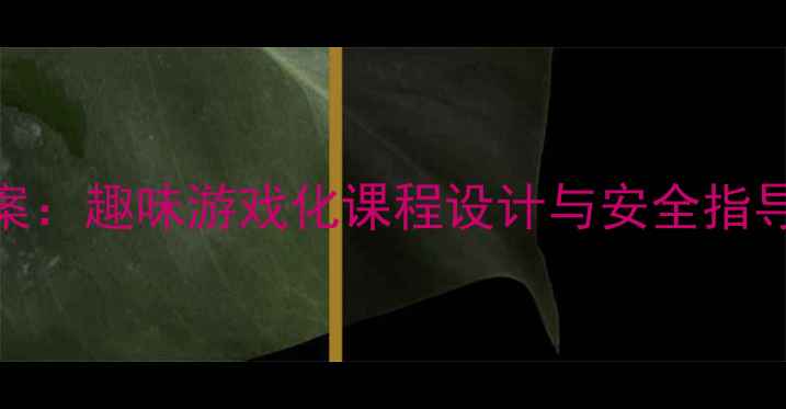 图片 大班滑板教学教案：趣味游戏化课程设计与安全指导（附教学视频）