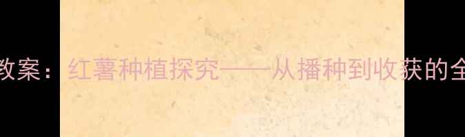 图片 大班科学教案：红薯种植探究——从播种到收获的全过程实践