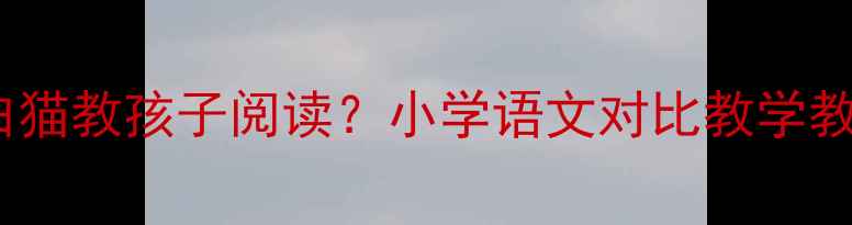 图片 如何用黑猫白猫教孩子阅读？小学语文对比教学教案分享📚✨1