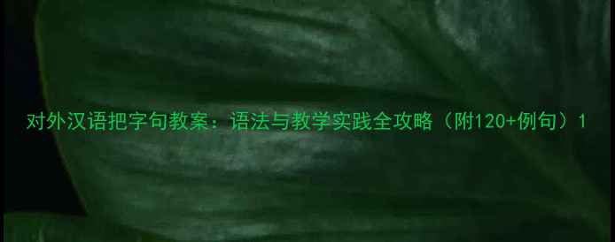 图片 对外汉语把字句教案：语法与教学实践全攻略（附120+例句）1