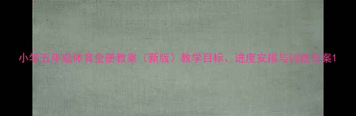 图片 小学五年级体育全册教案（新版）教学目标、进度安排与训练方案1