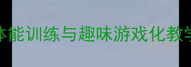 图片 小学健美操课教案：高效体能训练与趣味游戏化教学设计（附详细课时计划）