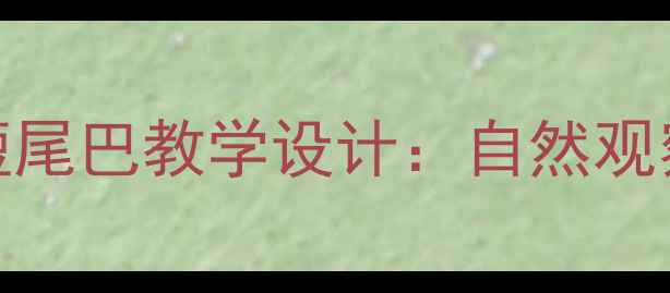 图片 小学科学课尖嘴巴与短尾巴教学设计：自然观察法培养儿童科学思维
