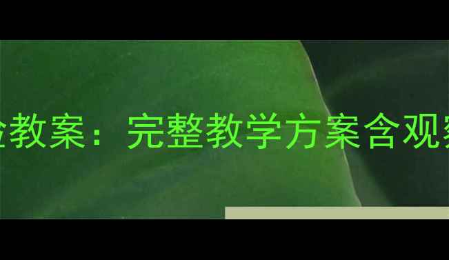 图片 小学科学课种子发芽实验教案：完整教学方案含观察记录表与家庭种植指南