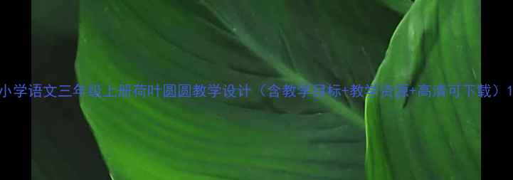 图片 小学语文三年级上册荷叶圆圆教学设计（含教学目标+教学资源+高清可下载）1