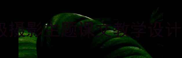 图片 小摄影师语文教案｜小学中高年级摄影主题课文教学设计（附课件+知识点+课堂活动）✨2