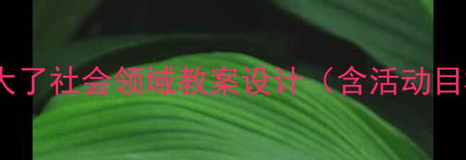 图片 小班幼儿我长大了社会领域教案设计（含活动目标准备流程）1