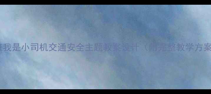 图片 小班我是小司机交通安全主题教案设计（附完整教学方案）1