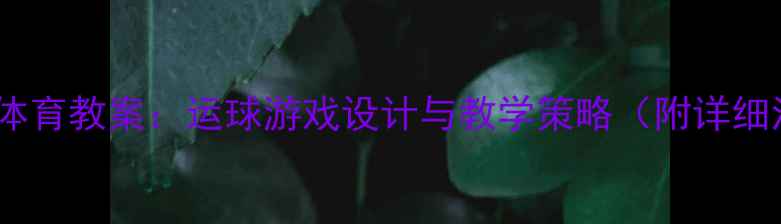 图片 幼儿园大班体育教案：运球游戏设计与教学策略（附详细活动方案）1