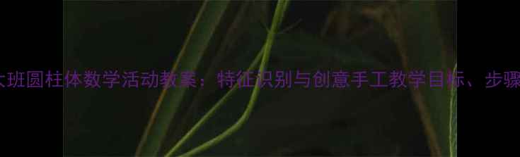 图片 幼儿园大班圆柱体数学活动教案：特征识别与创意手工教学目标、步骤及评价1