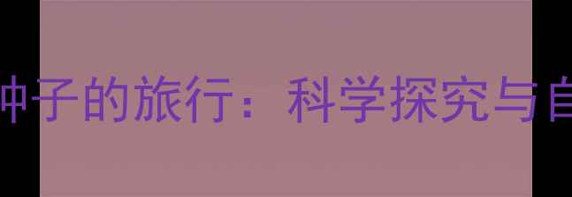 图片 幼儿园大班完整教案种子的旅行：科学探究与自然教育主题课程设计