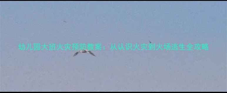 图片 幼儿园大班火灾预防教案：从认识火灾到火场逃生全攻略