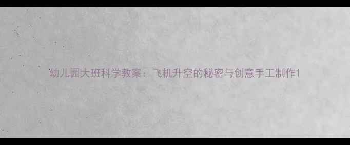 图片 幼儿园大班科学教案：飞机升空的秘密与创意手工制作1
