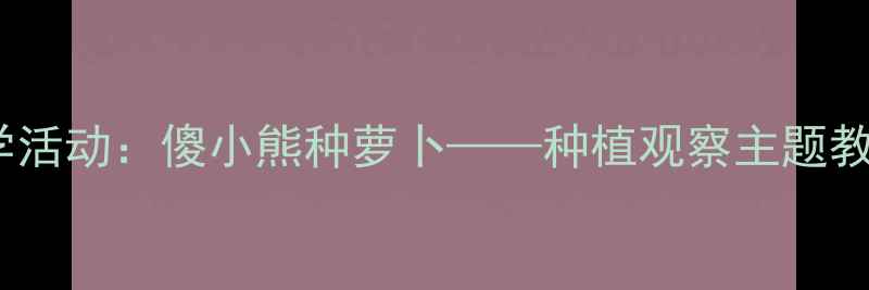 图片 幼儿园大班科学活动：傻小熊种萝卜——种植观察主题教案设计与实践2