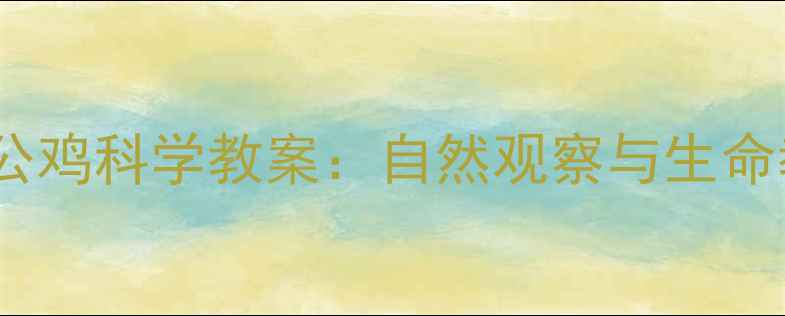 图片 幼儿园大班金鸡冠公鸡科学教案：自然观察与生命教育主题活动方案1