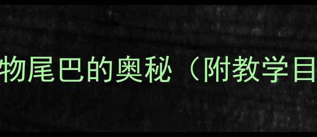 图片 幼儿园小班科学教案：动物尾巴的奥秘（附教学目标+活动流程+延伸活动）