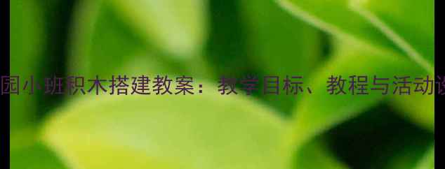 图片 幼儿园小班积木搭建教案：教学目标、教程与活动设计1