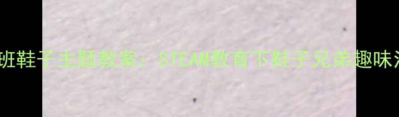 图片 幼儿园小班鞋子主题教案：STEAM教育下鞋子兄弟趣味活动设计1