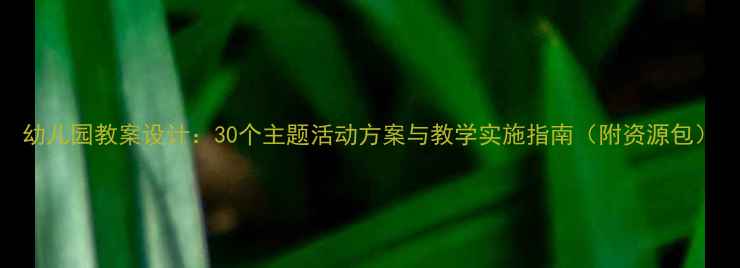 图片 幼儿园教案设计：30个主题活动方案与教学实施指南（附资源包）